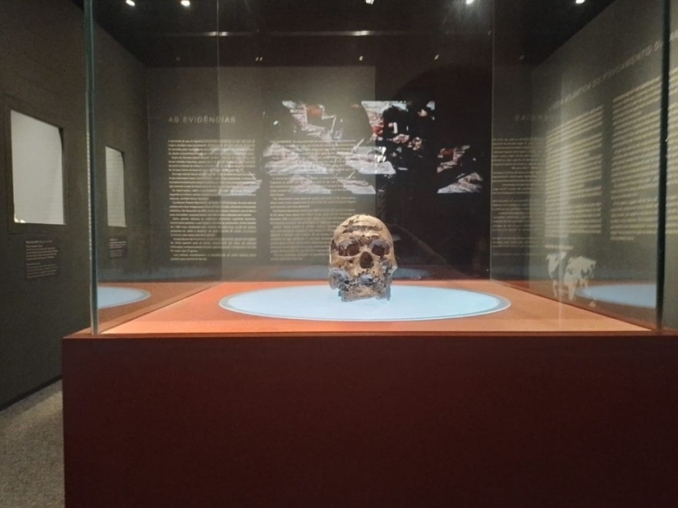Entre as preciosidades em exibição, encontram-se o crânio de Zuzu, datado de 9.960 anos / imagens: Edmilson Silva - divulgação