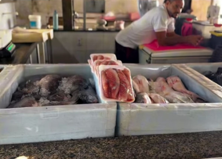 O Mercado do Peixe de Teresina é um ponto tradicional de comercialização de pescados / imagem: divulgação
