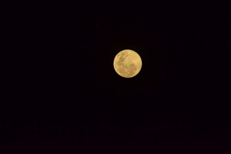 A lua mergulha totalmente na umbra da Terra durante um eclipse total da Lua / imagem: Pedro Silva
