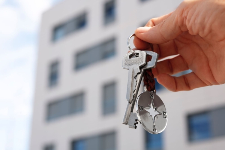 Em termos de novos empreendimentos, foram lançados um residencial vertical e três horizontais / imagem: divulgação