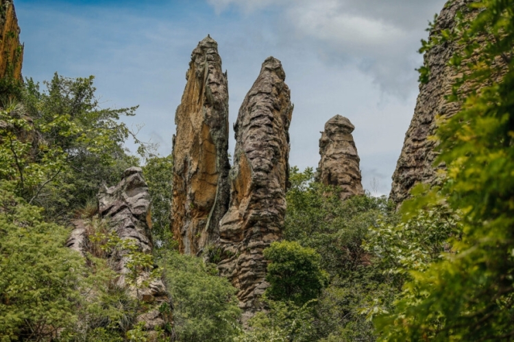 A trilha promove a conexão entre os parques ao mesmo tempo em que contribui para os objetivos de preservação da APA Serra da Ibiapaba / imagens: Thiago Amaral - divulgação