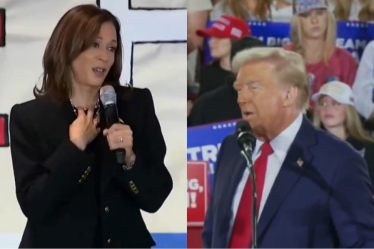 Kamala Harris, do Partido Democrata e Donald Trump, do Partido Republicano / imagem: reprodução