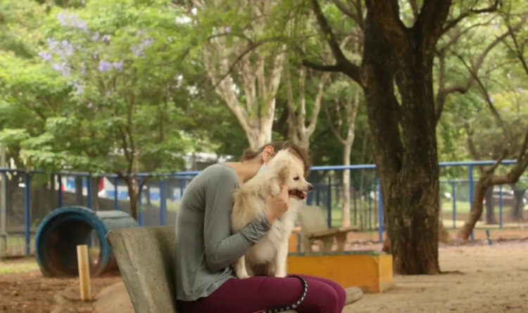 Veterinária dá dicas de proteção para reduzir os efeitos dos barulhos destes artifícios / imagem: Ravena Rosa